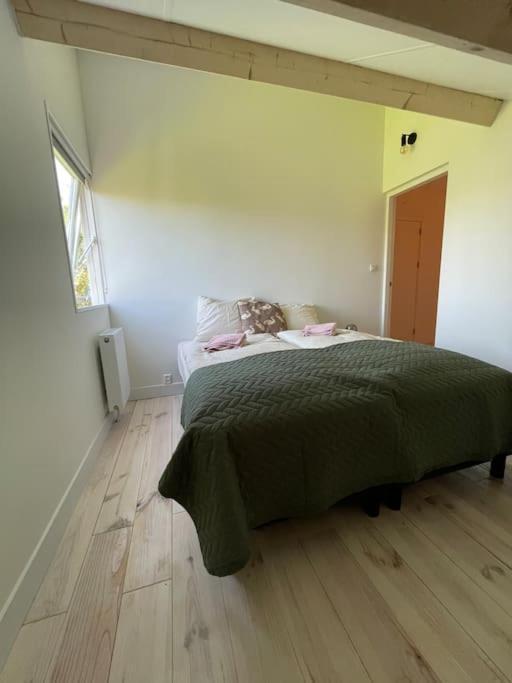 Modern Beach House For 12 Pers! With Jacuzzi Julianadorp Esterno foto